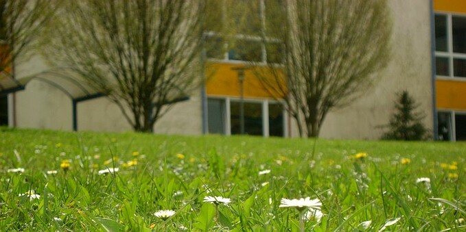 Wiese mit Schulgebäude